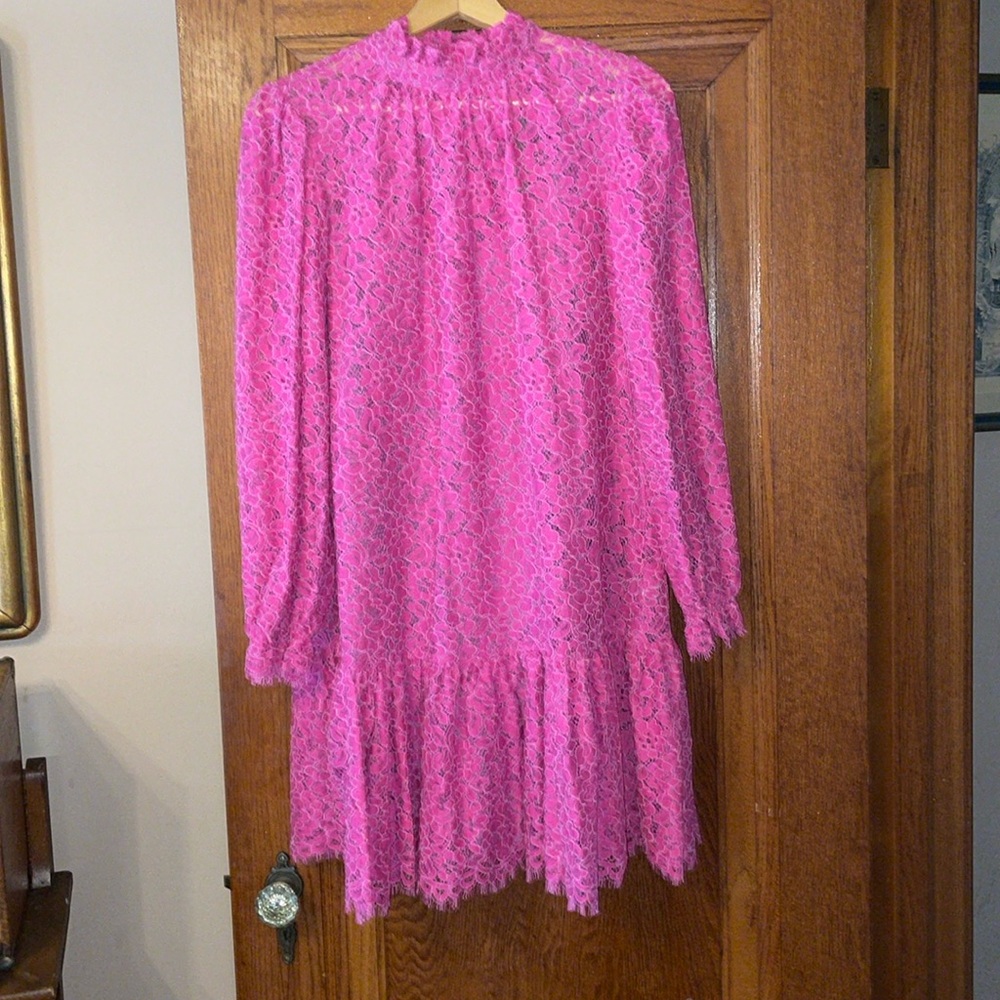 NWT JCrew Ruffleneck lace dress; small; pink; bn038